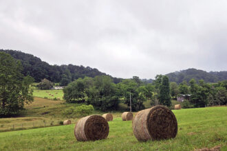 Bails of hay sitting in a field in Appalachia