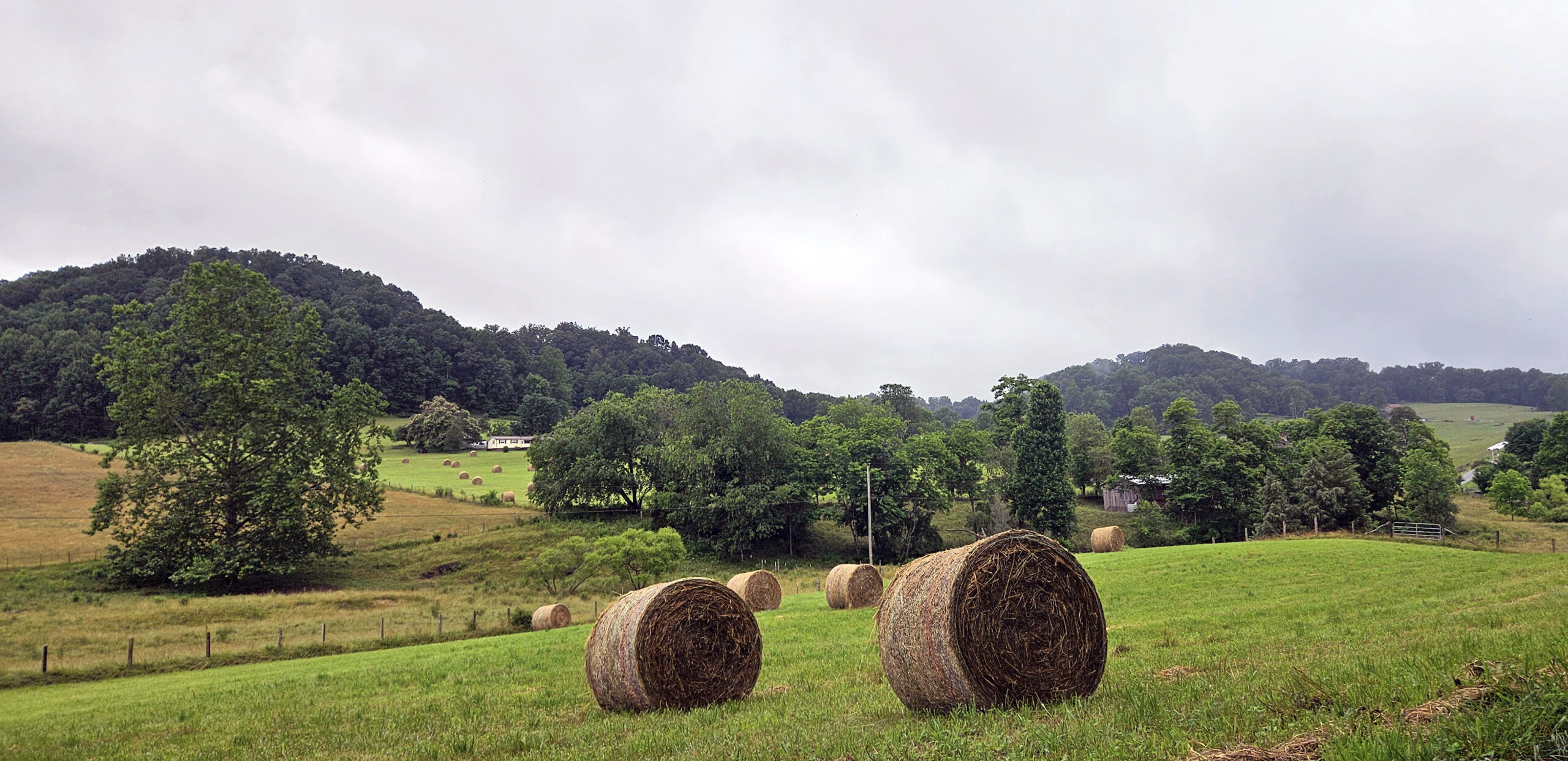 Bails of hay sitting in a field in Appalachia