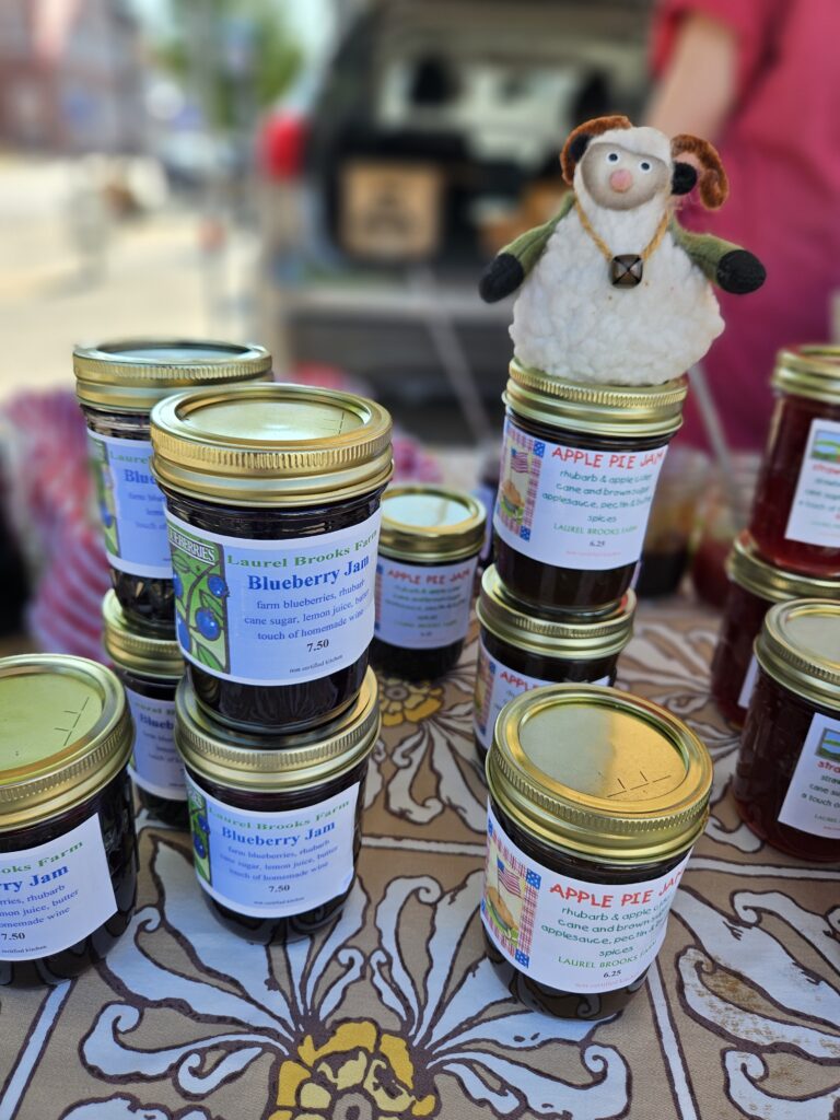 Blueberry jam from Laurel Brooks Farm at the State Street Farmers Market, Bristol, TN