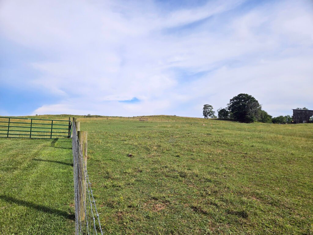 20250628_175744 - Appalachian Highlands Farmers Magazine Fleenor Farm