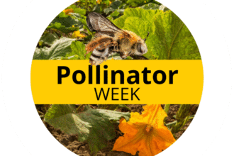 National Pollinator week logo