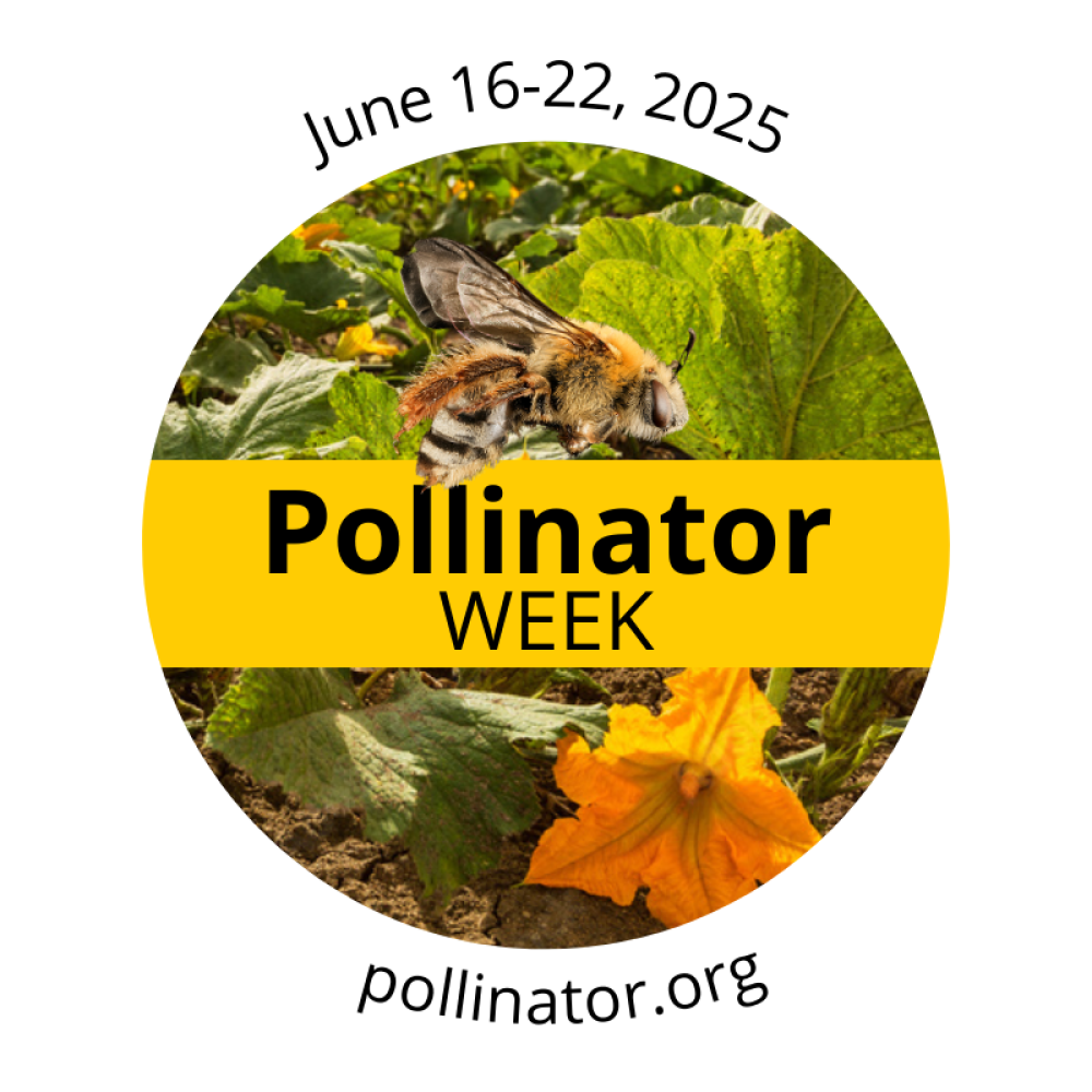 National Pollinator week logo