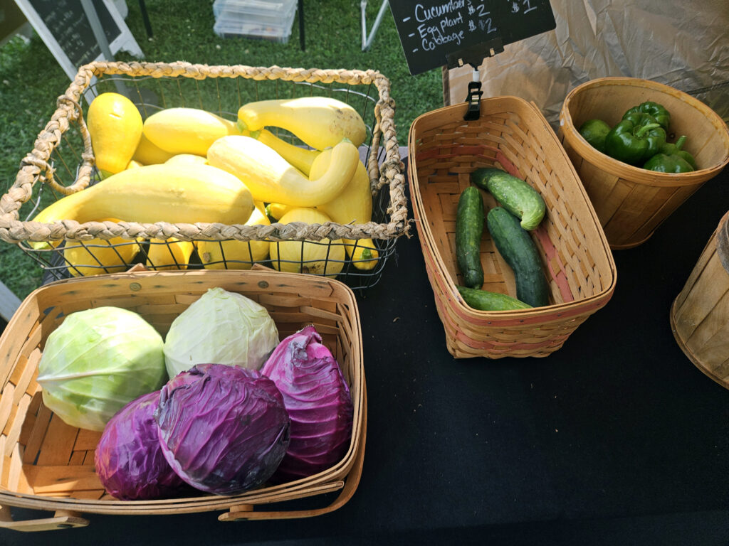 Squash and Cabbage