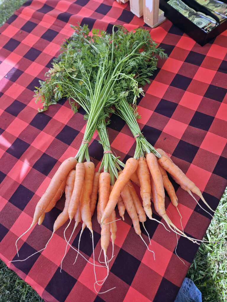 Carrots