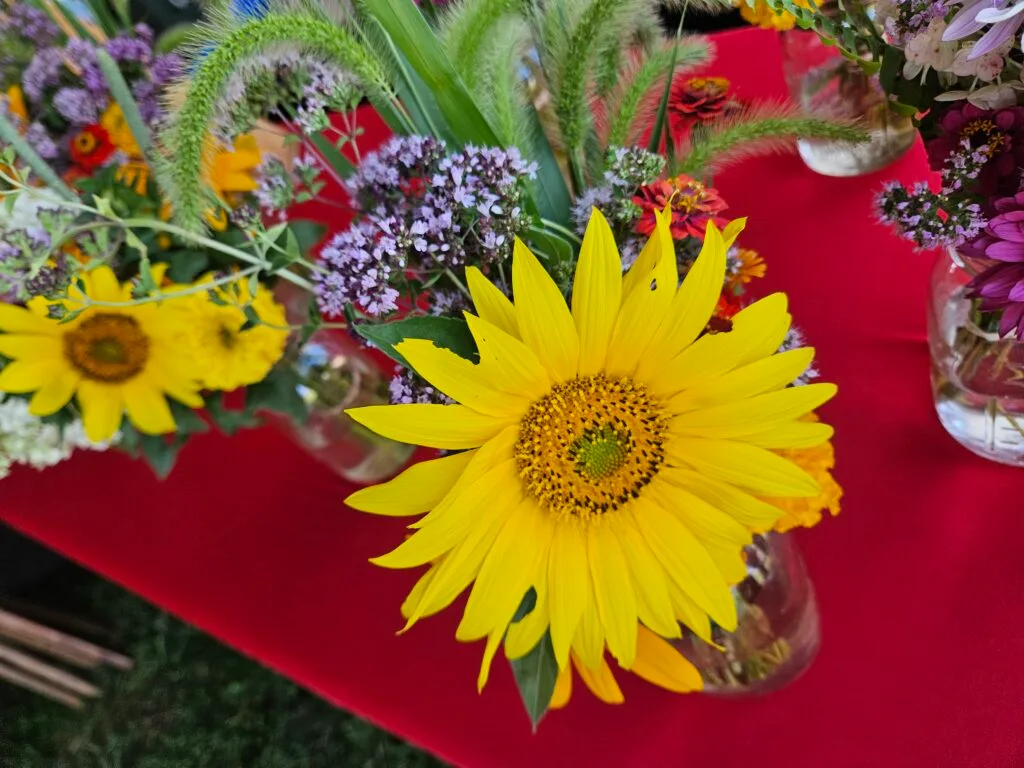 Brilliant Yellow flower