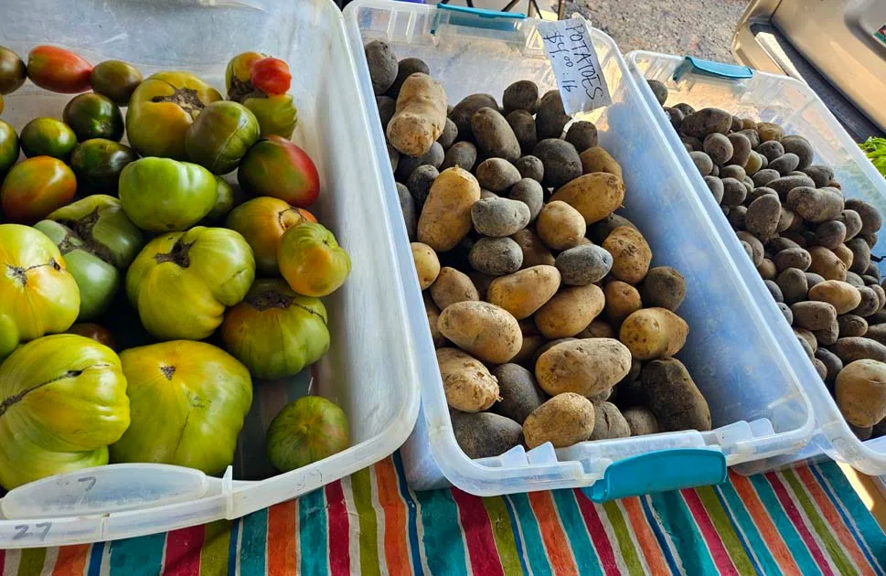 Potatoes and tomatoes