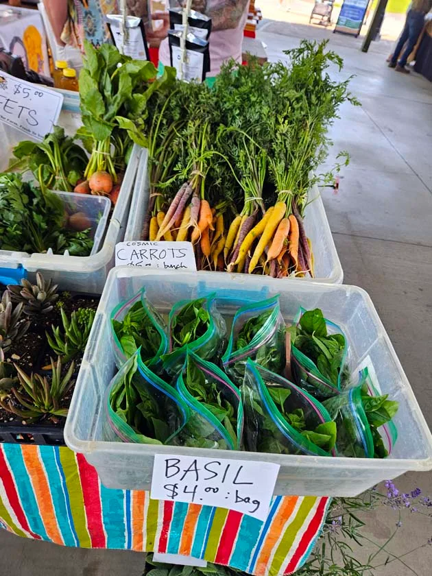 Basil and Carrots