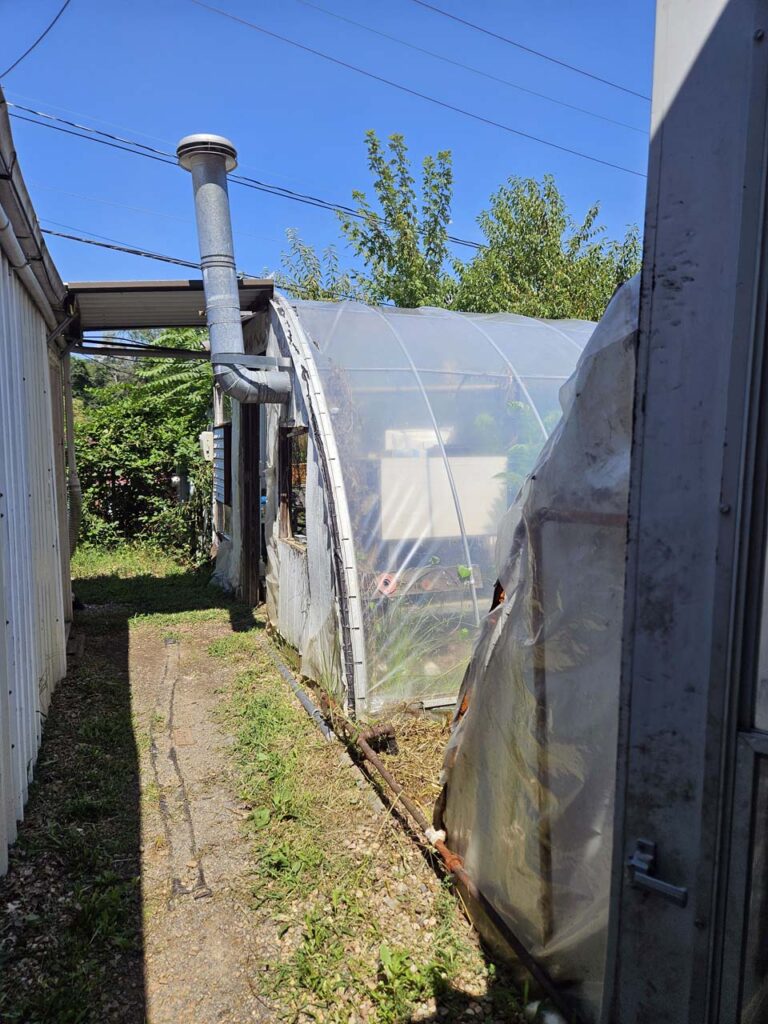 One of several greenhouse on the property