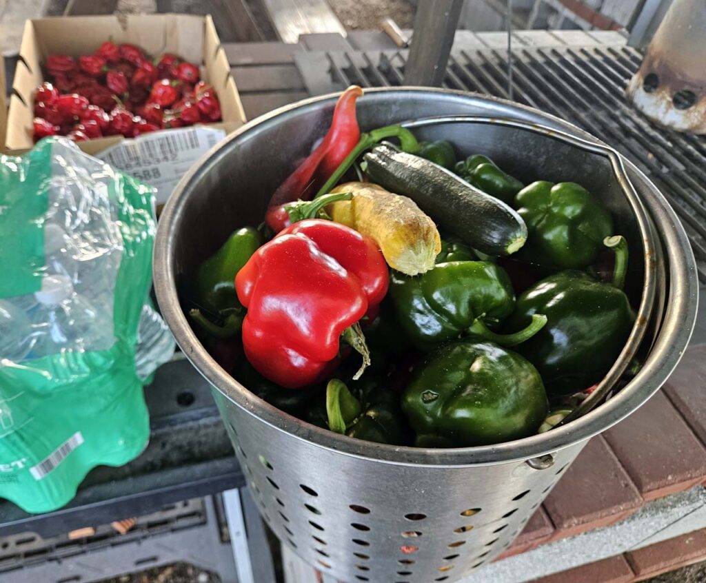 Peppers and Squashes grown onsite
