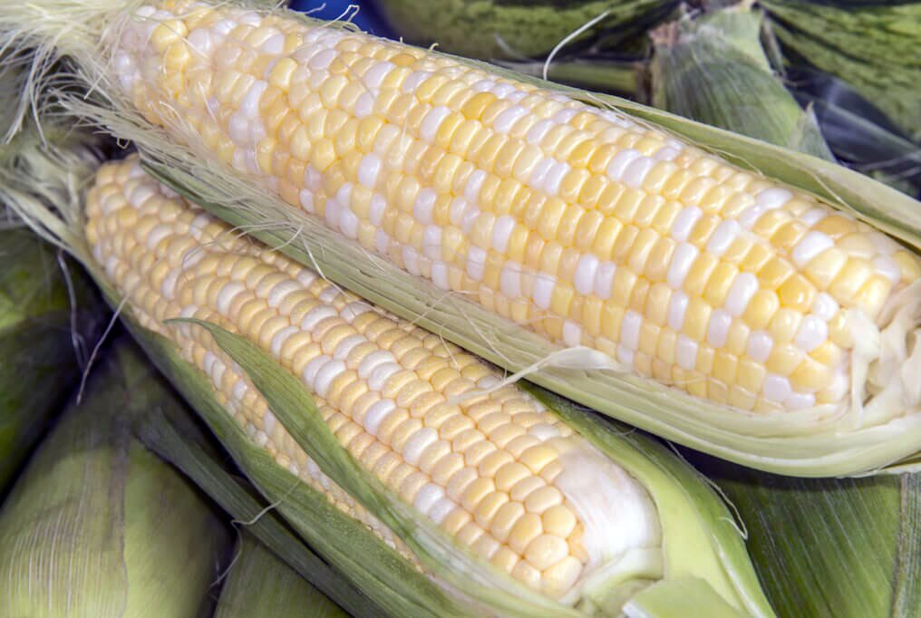 Peaches and Cream Corn