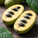 ChatGPT Image Jan 28 2026 03_44_43 PM - Appalachian Highlands Farmers Magazine Cut Pawpaw