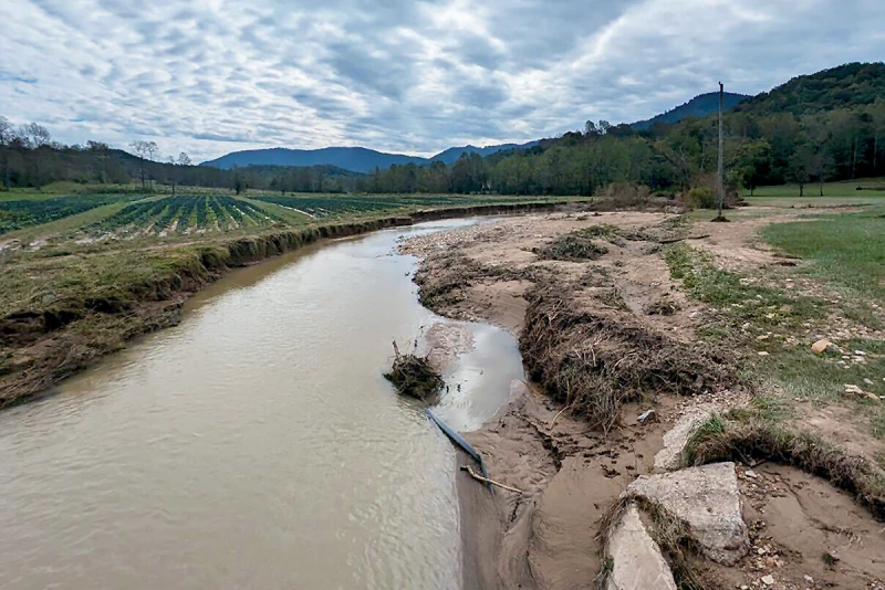 NC Farm devastated by Hurricane Helene