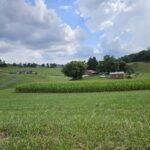 Beautiful Farm Scene