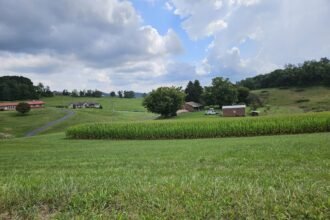 Beautiful Farm Scene