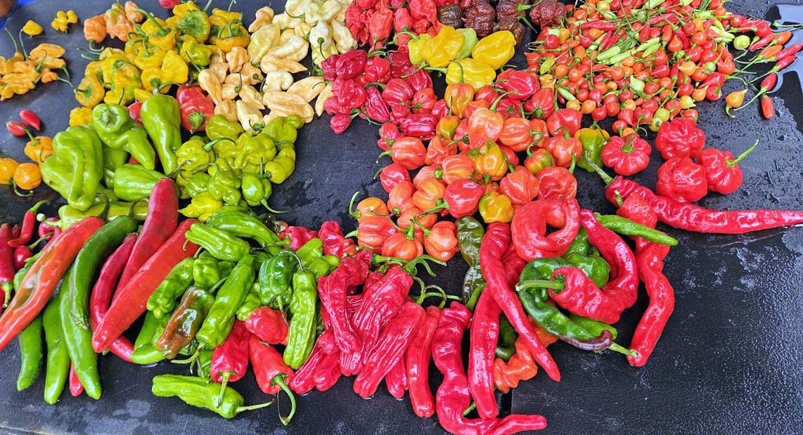 Assorted colorful chili peppers