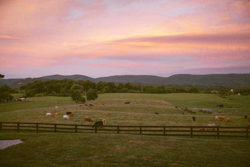 Cyrus Ridge Farm