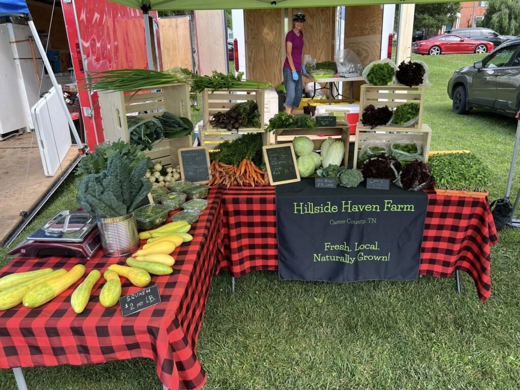 532963348_1613296913000954_2947406762523391771_n - Appalachian Highlands Farmers Magazine Hillside Haven Farm Booth at Elizabethton Farmers Market