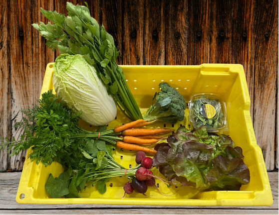 CSA Spring and Fall Share_1770769803 - Appalachian Highlands Farmers Magazine A CSA Box from Hillside Haven Farm