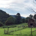 IG_1082024_67048c2fd6232615396765 - Appalachian Highlands Farmers Magazine Hillside Haven Farm