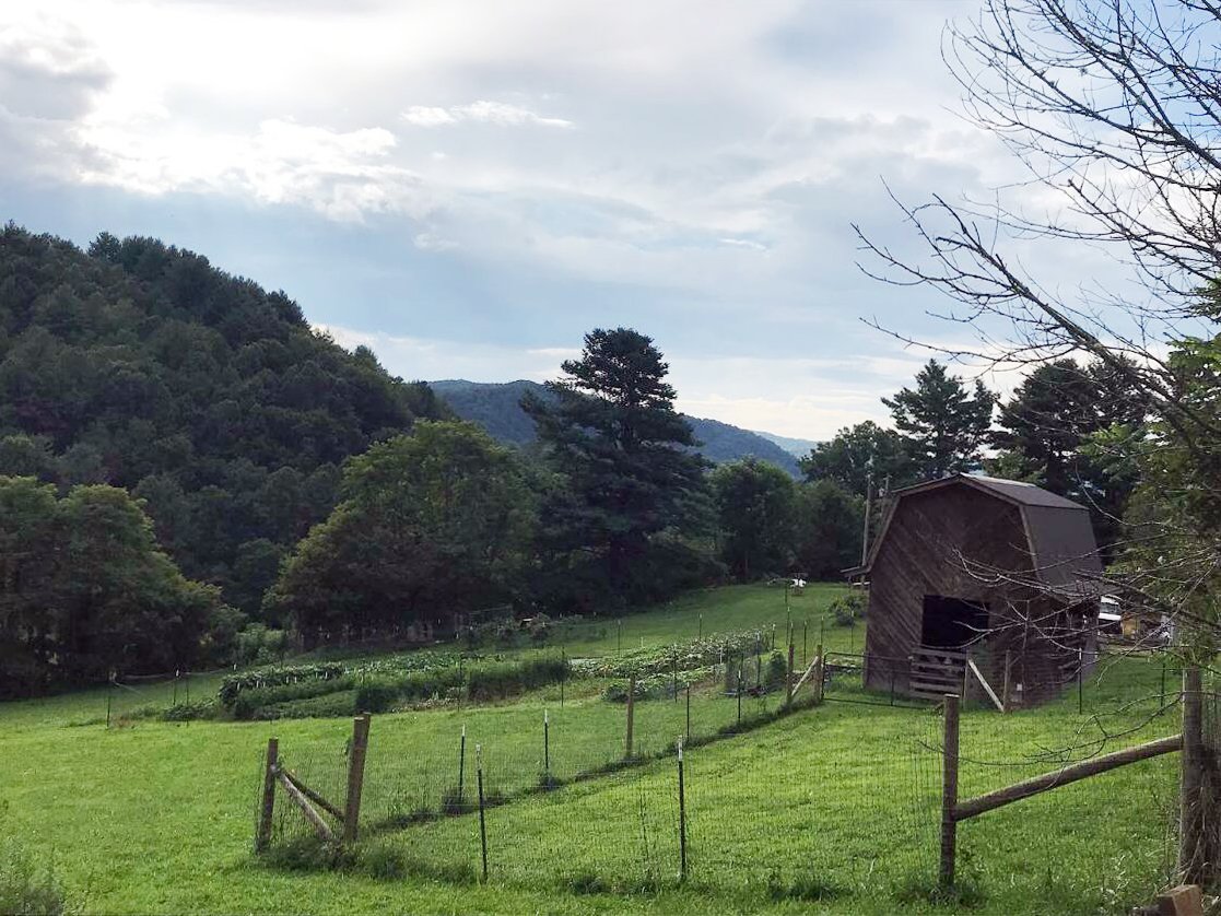IG_1082024_67048c2fd6232615396765 - Appalachian Highlands Farmers Magazine Hillside Haven Farm