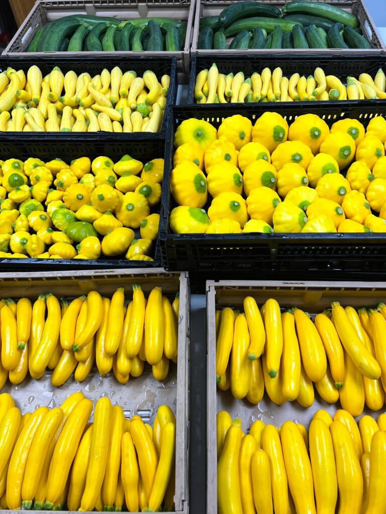 IMG_9827 - Appalachian Highlands Farmers Magazine Yellow squashes