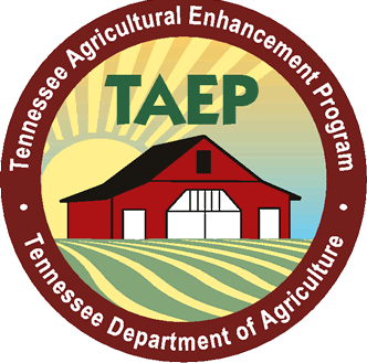 TAEP Logo