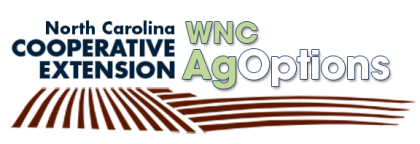 WNC Ag Options Logo and link to Grant page