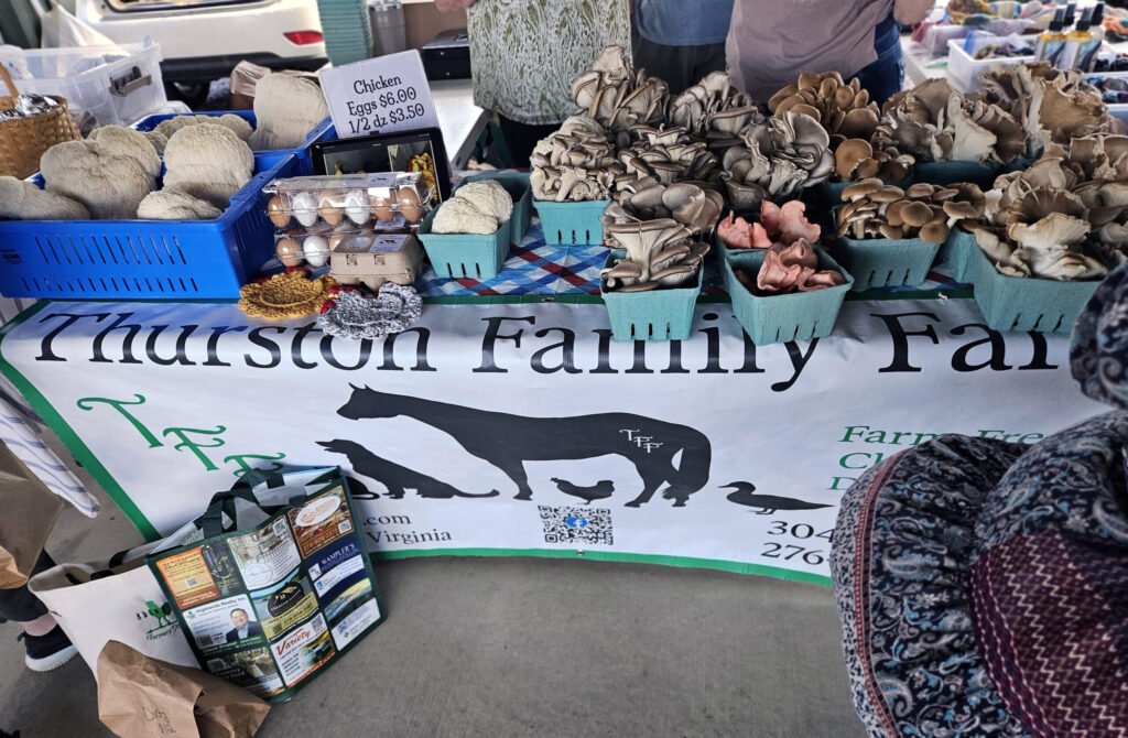 Thurston Family Farm Booth with rows of mushrooms