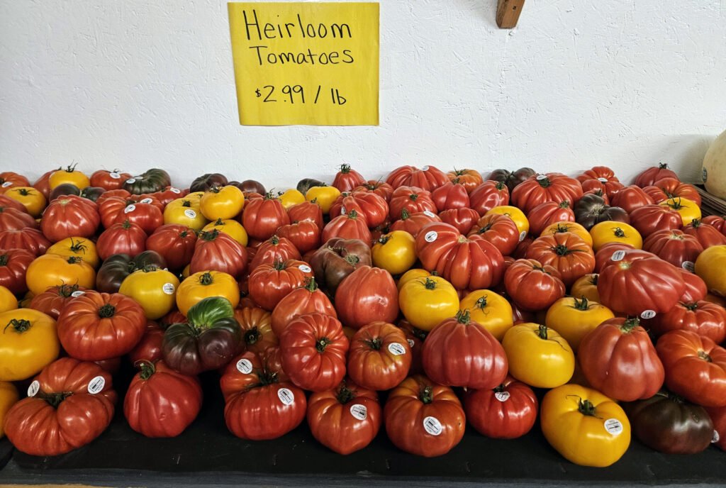 Colorful Heirloom Tomatoes