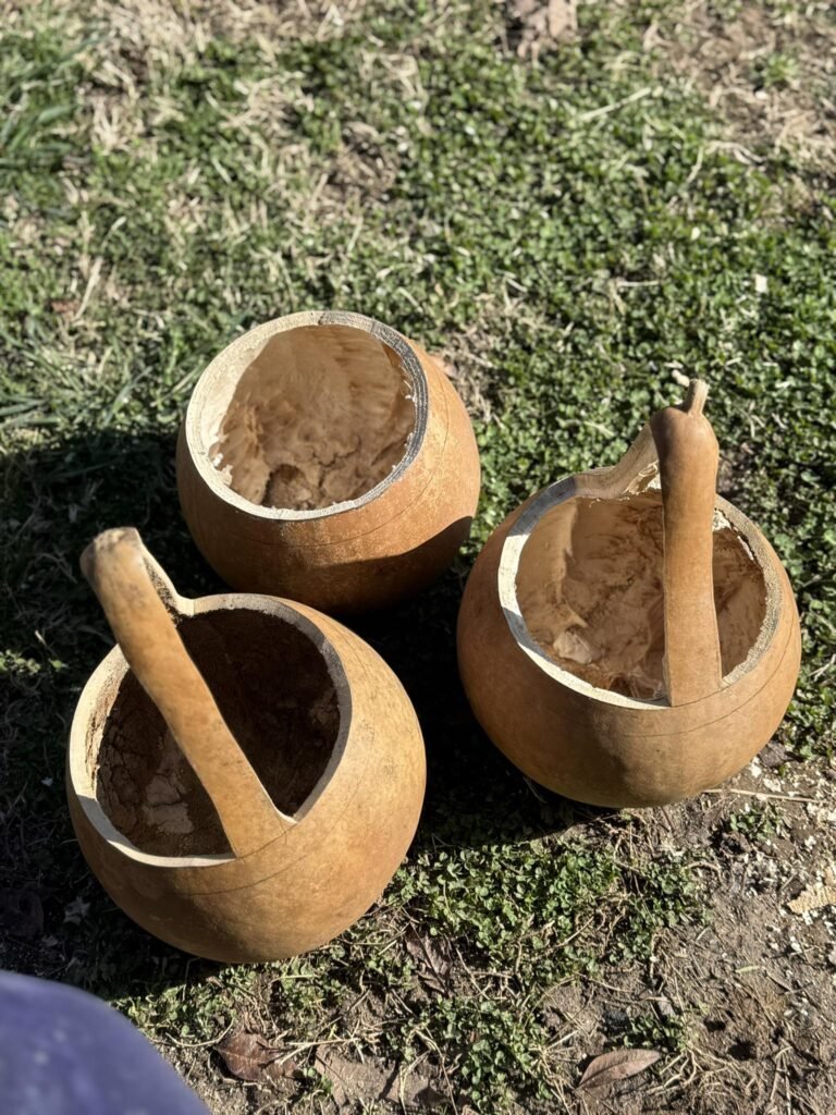 Gourds Hollowed out and carved