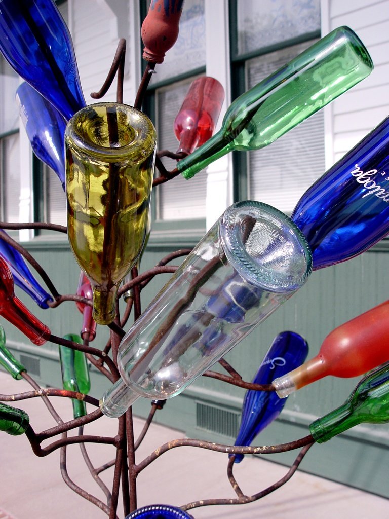 Bottle Tree - Photo by Kevin Wise