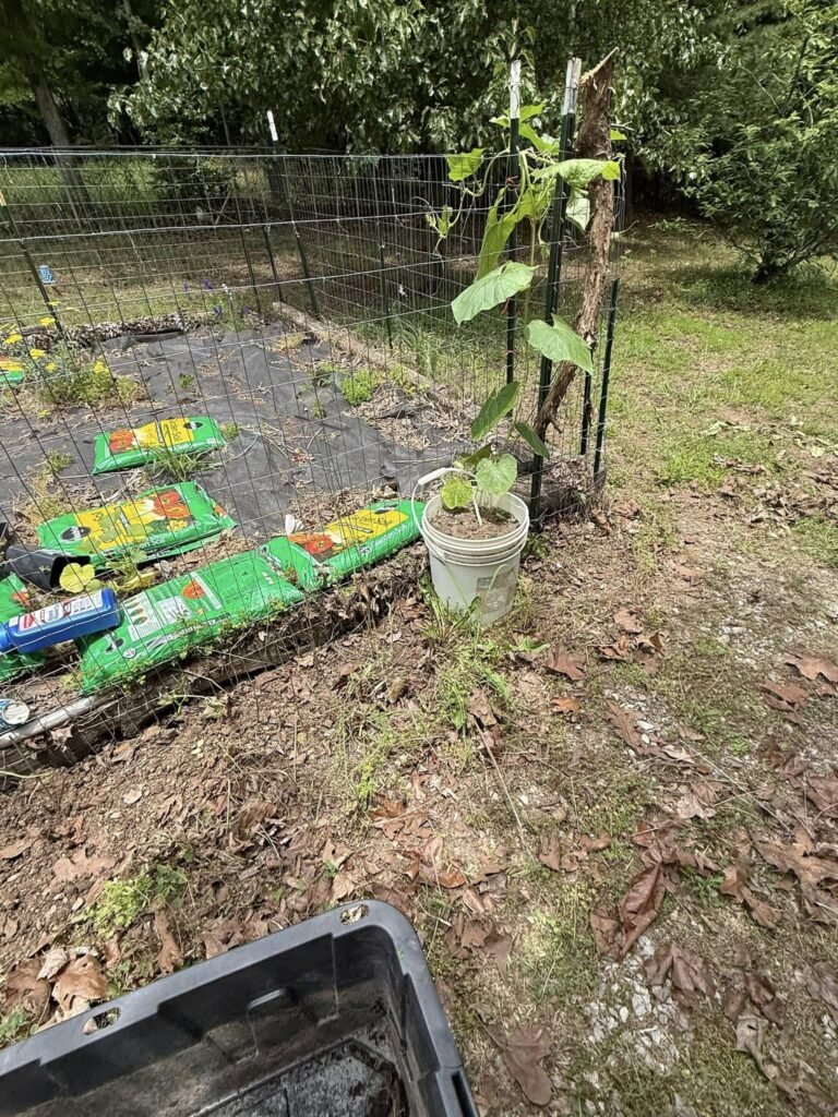 Garden - Appalachian Highlands Farmers Magazine Training the Vines