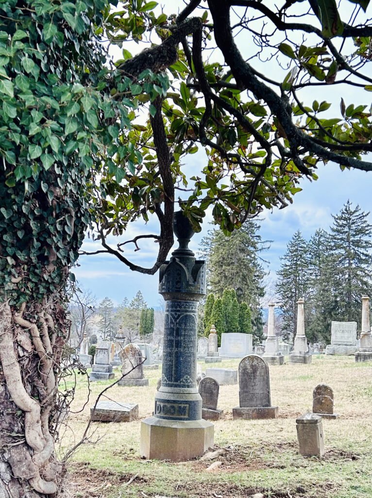 Beautiful Tree overlooking monuments