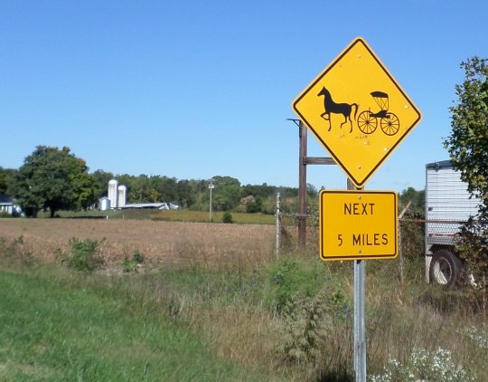 Buggy Crossing in Amish Country in NC