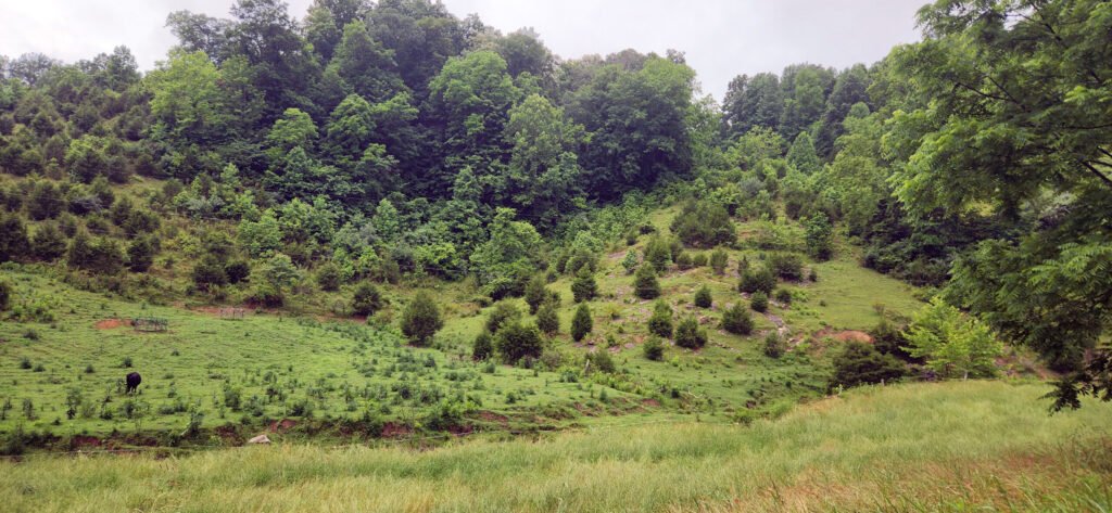 Country Hillside in Southern Appalachia