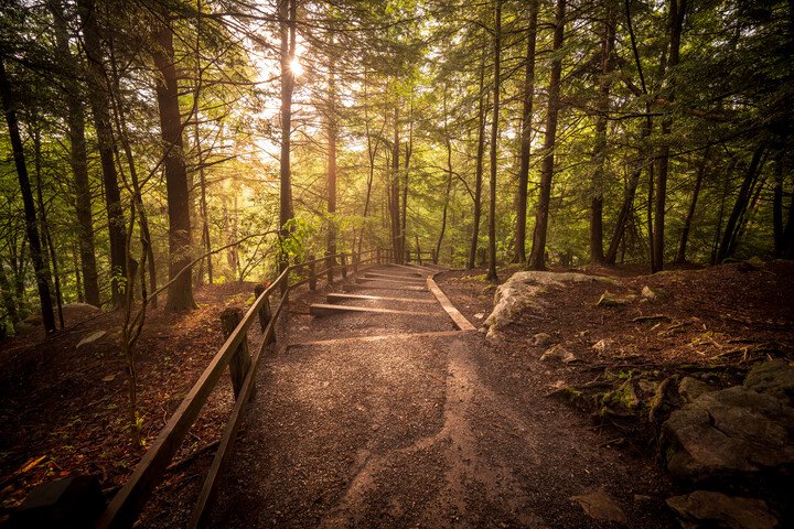 Cacapon Resort State Park