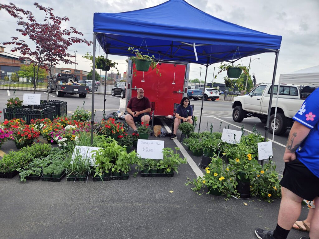 Plants for sale