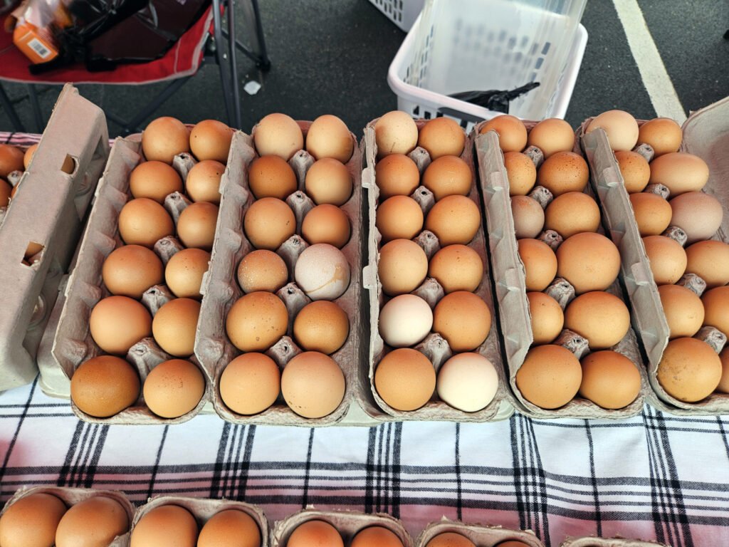 Brown eggs arranged in cardboard egg cartons on a plaid tablecloth.
