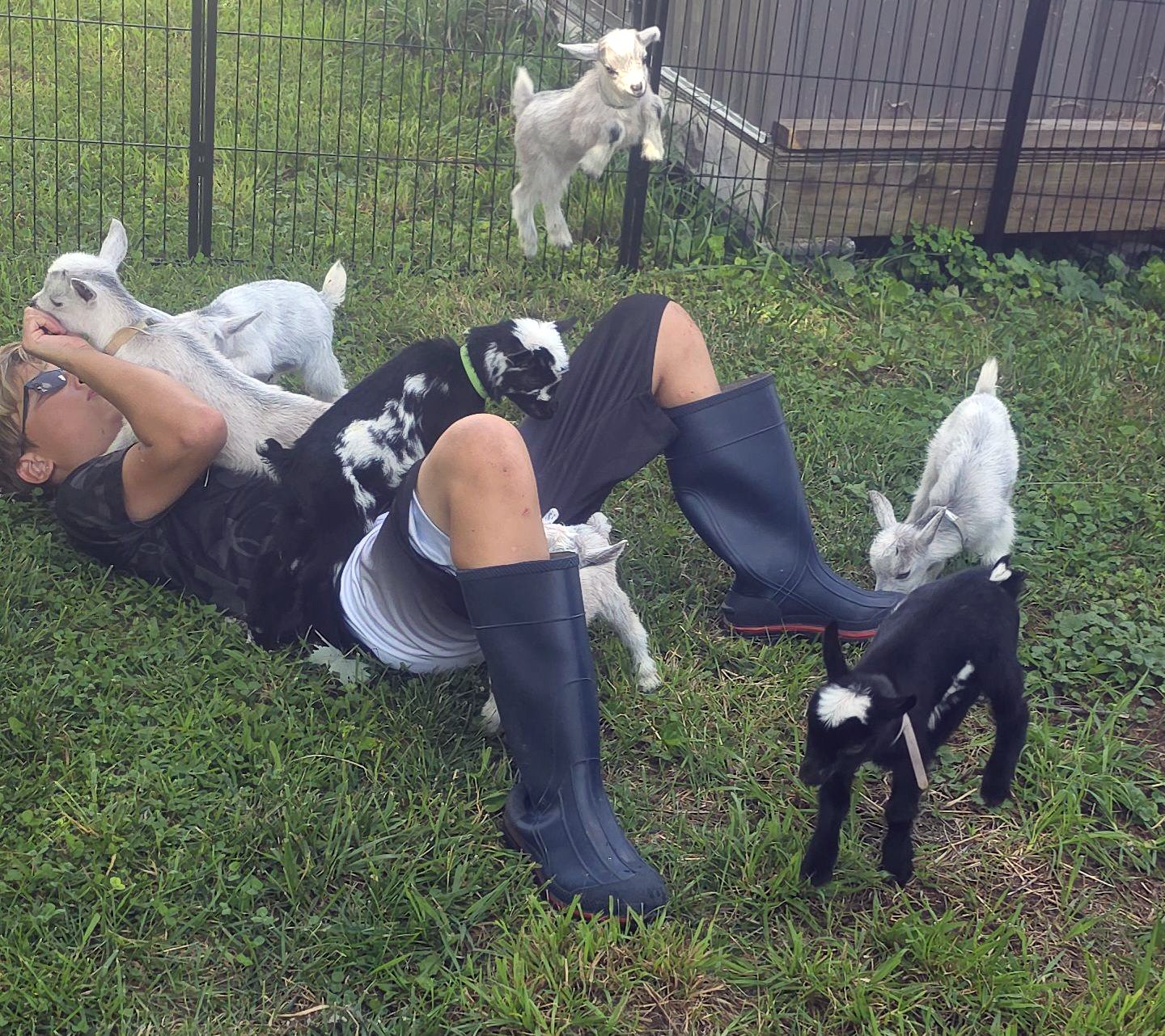 525422638_10164305945464644_7750893983329676561_n - Appalachian Highlands Farmers Magazine Kid playing with goats