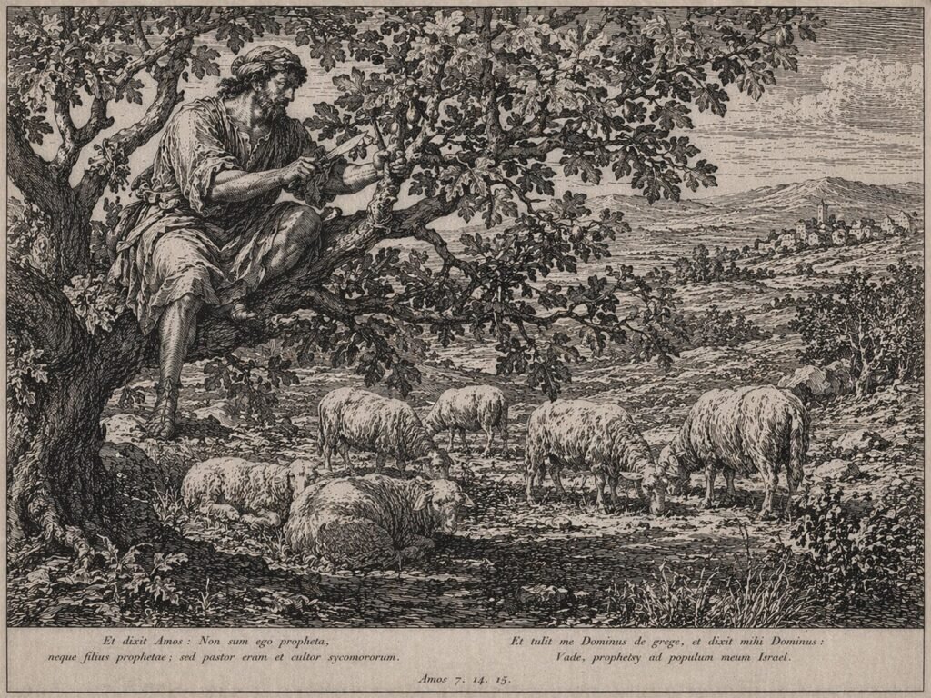 The Orchard Worker and the Flock (The Calling of Amos)