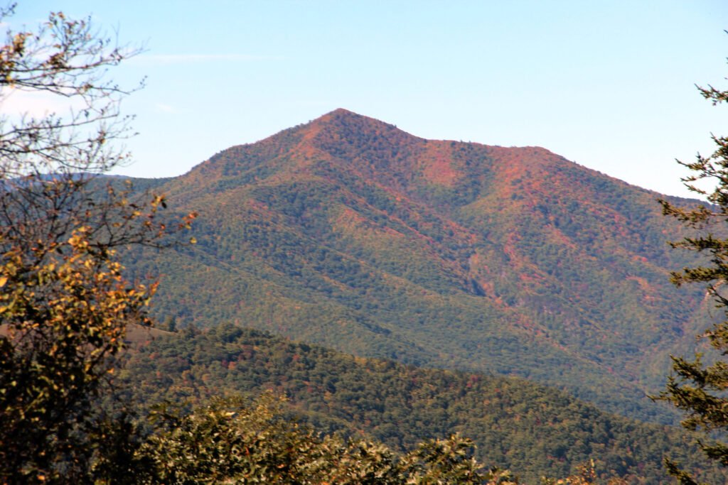 Cold Mountain from Mount Pisgah Overlook Photo by Thomson200, CC0, via Wikimedia Commons
