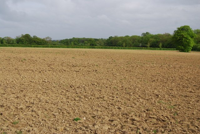 Expansive plowed field with dry soil and a tree line on the horizon under cloudy sky
