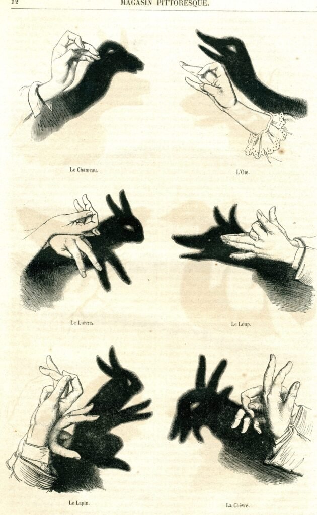 Hand Shadow Puppets