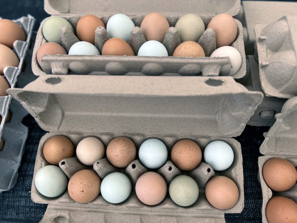 Cartons of brown and pale blue eggs arranged in cartons on a dark surface, viewed from above.