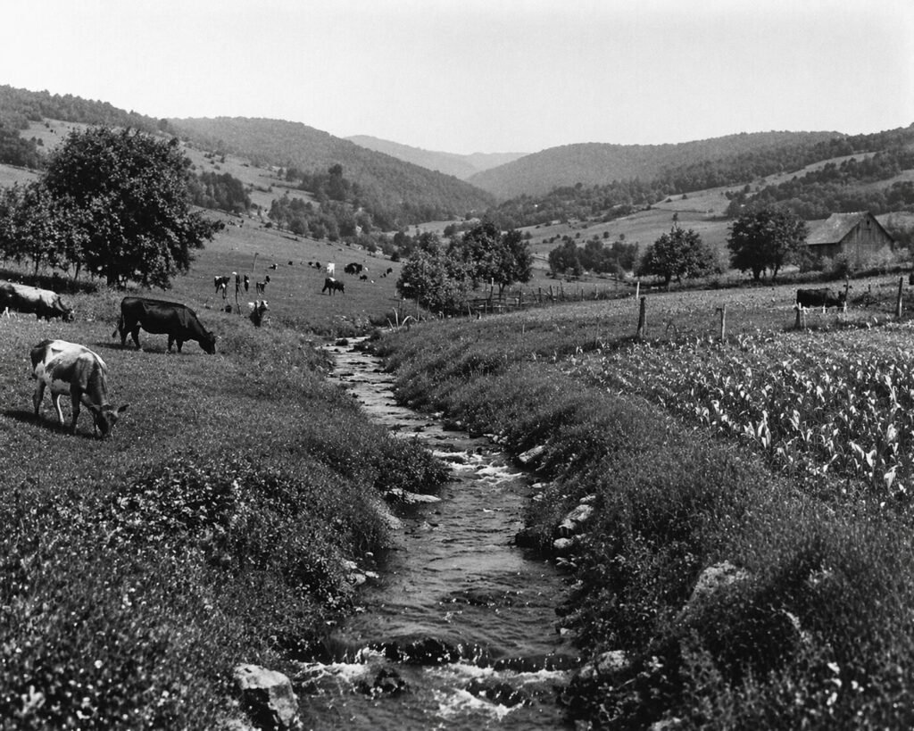 The Interconnected Holler