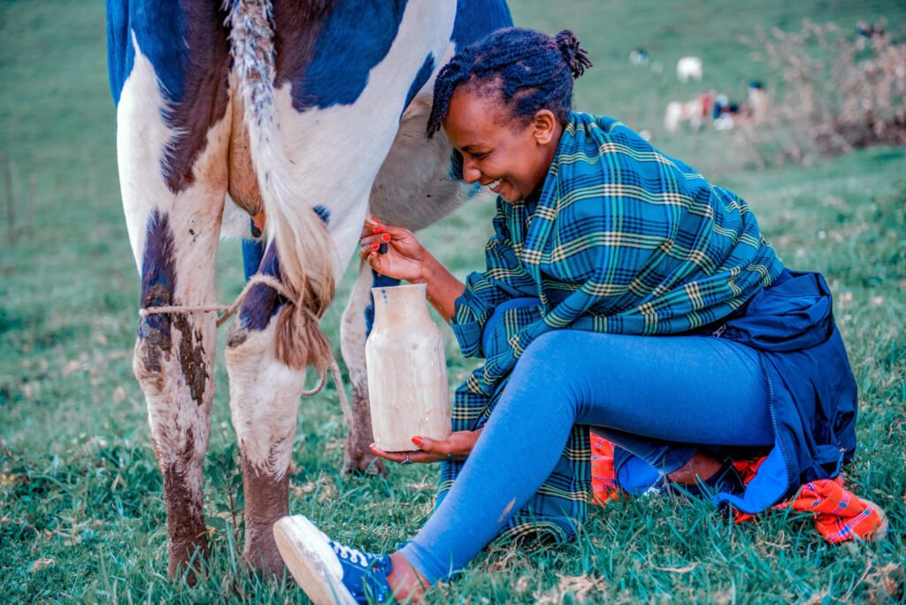 Person kneeling in a grassy field, tying a rope to a wooden post beside a blue‑and‑white horse.