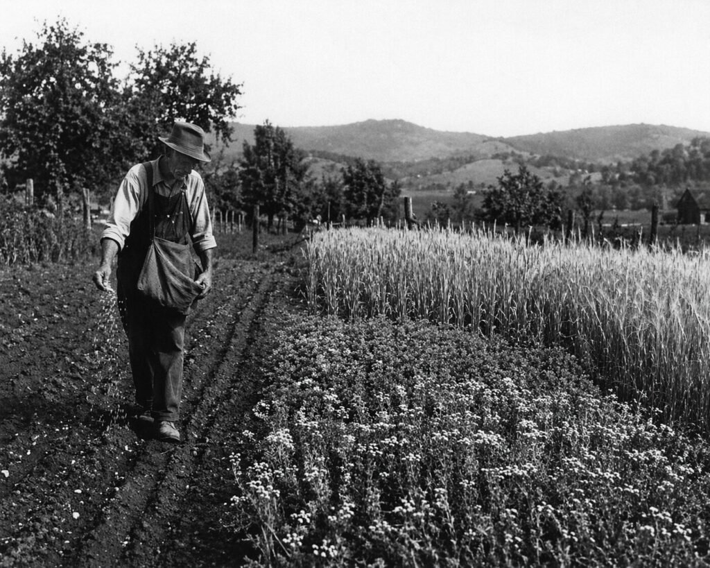 The Pushback on Monoculture