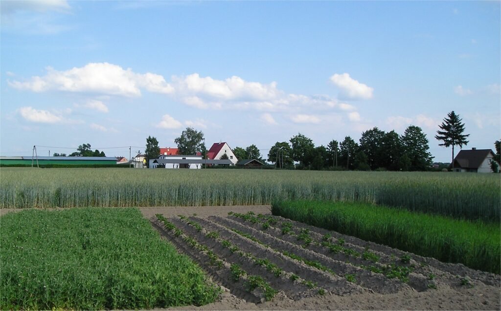 Rotational farm with rows of crops in the foreground and a small village with trees on the horizon under a blue sky with clouds.