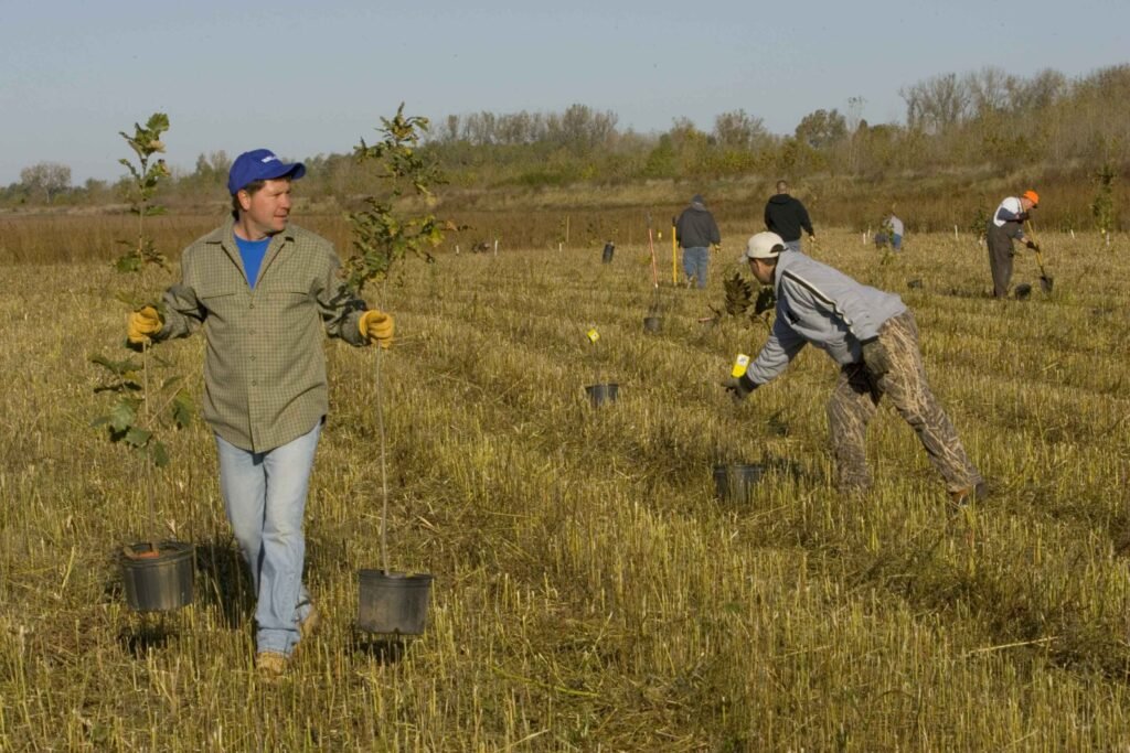 Planting Trees - Hillebrand Steve, U.S. Fish and Wildlife Service