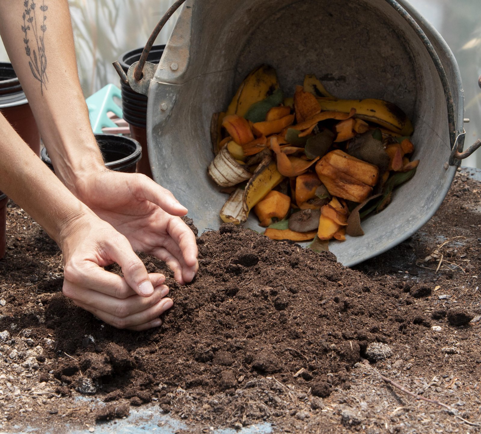 Hands digging and loosening dark soil next to a wheelbarrow filled with fruit scraps and compostable material.